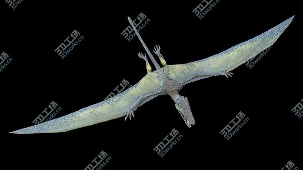 images/goods_img/20210312/Dimorphodon model/5.jpg